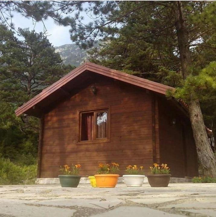 Iliria Tiny House Llogora Орикум Экстерьер фото